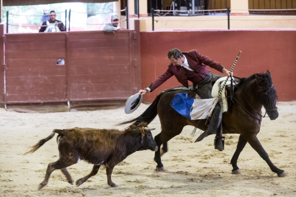Сборы в Испании: 10 февраля, «Зенит» на ферме «Лос Альбухерос»