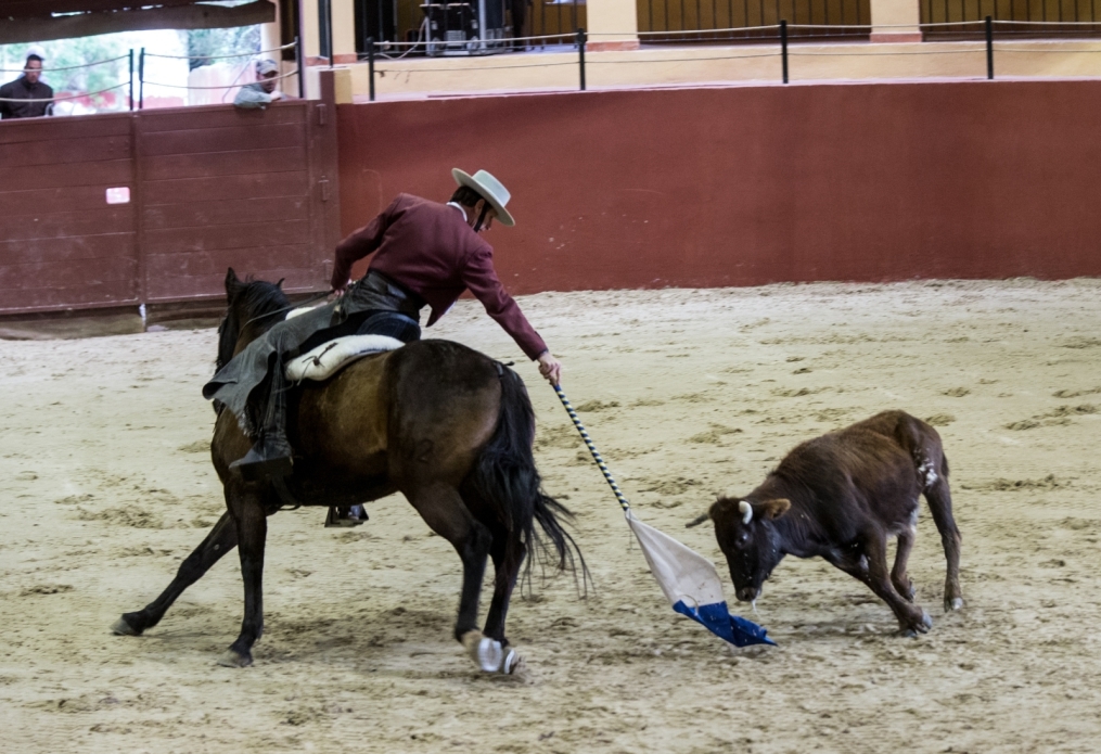 Сборы в Испании: 10 февраля, «Зенит» на ферме «Лос Альбухерос»