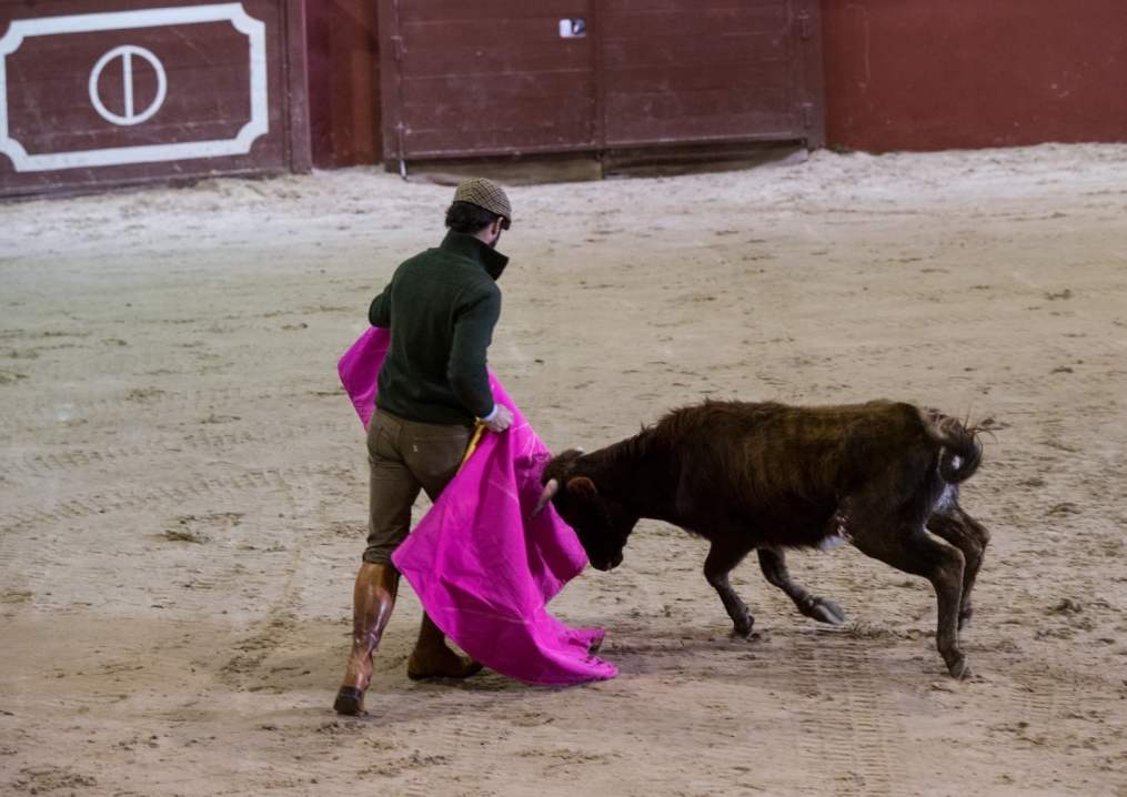 Сборы в Испании: 10 февраля, «Зенит» на ферме «Лос Альбухерос»