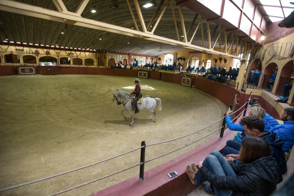 Сборы в Испании: 10 февраля, «Зенит» на ферме «Лос Альбухерос»