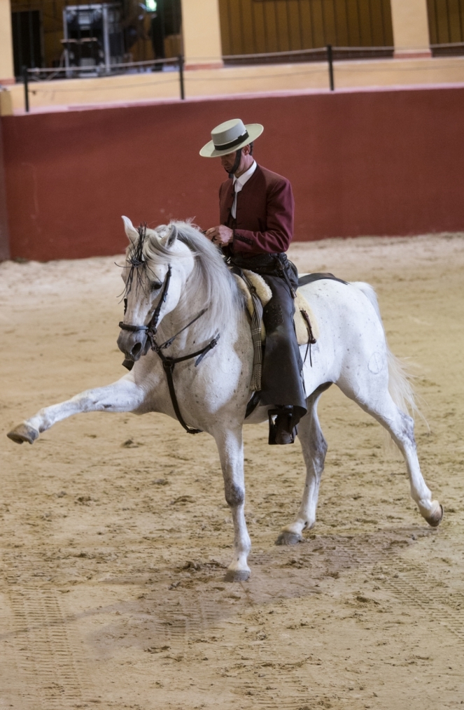 Сборы в Испании: 10 февраля, «Зенит» на ферме «Лос Альбухерос»