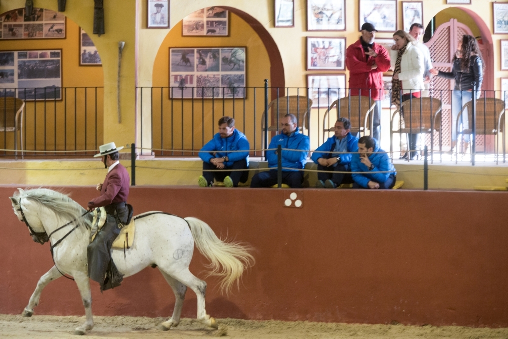Сборы в Испании: 10 февраля, «Зенит» на ферме «Лос Альбухерос»