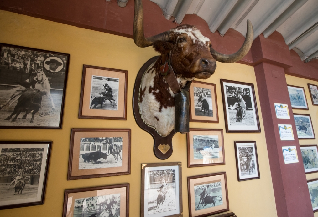 Сборы в Испании: 10 февраля, «Зенит» на ферме «Лос Альбухерос»