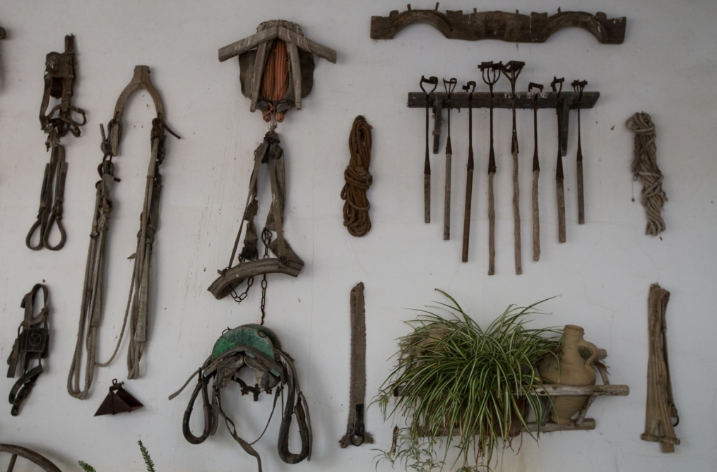 Сборы в Испании: 10 февраля, «Зенит» на ферме «Лос Альбухерос»