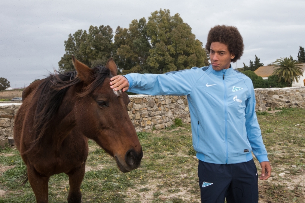 Сборы в Испании: 10 февраля, «Зенит» на ферме «Лос Альбухерос»