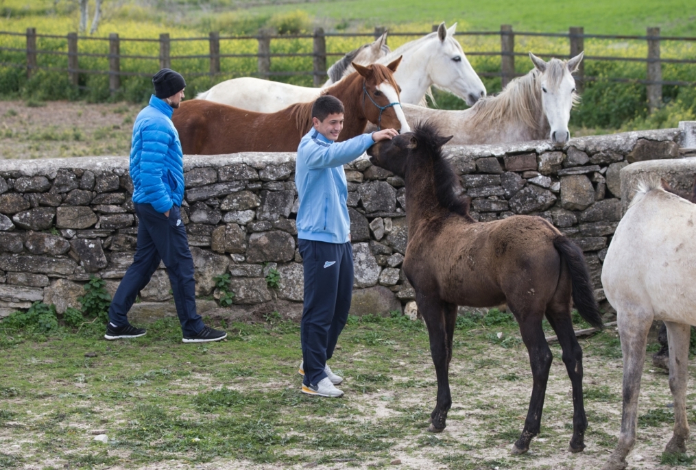 Сборы в Испании: 10 февраля, «Зенит» на ферме «Лос Альбухерос»