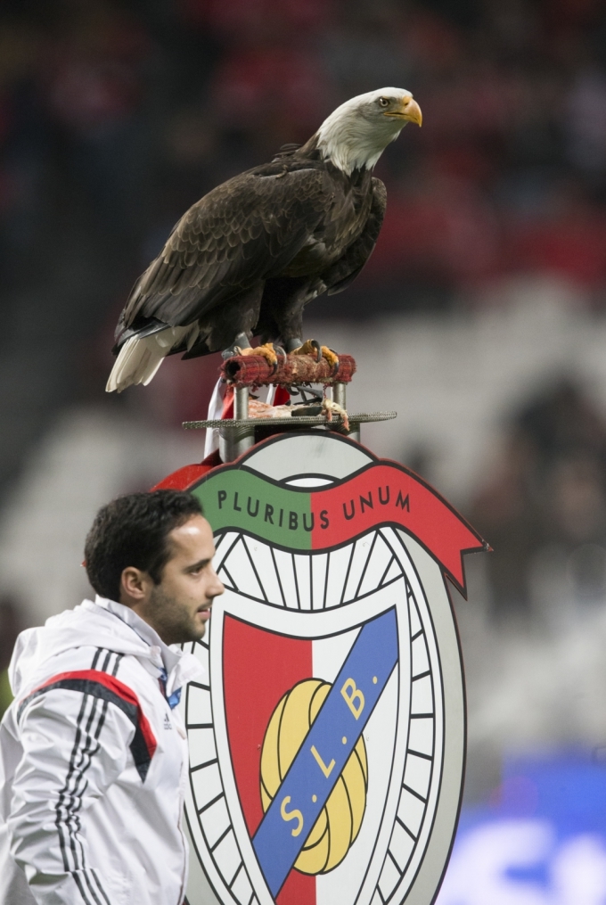 Лига Чемпионов УЕФА, 1/8 финала, «Бенфика» — «Зенит»