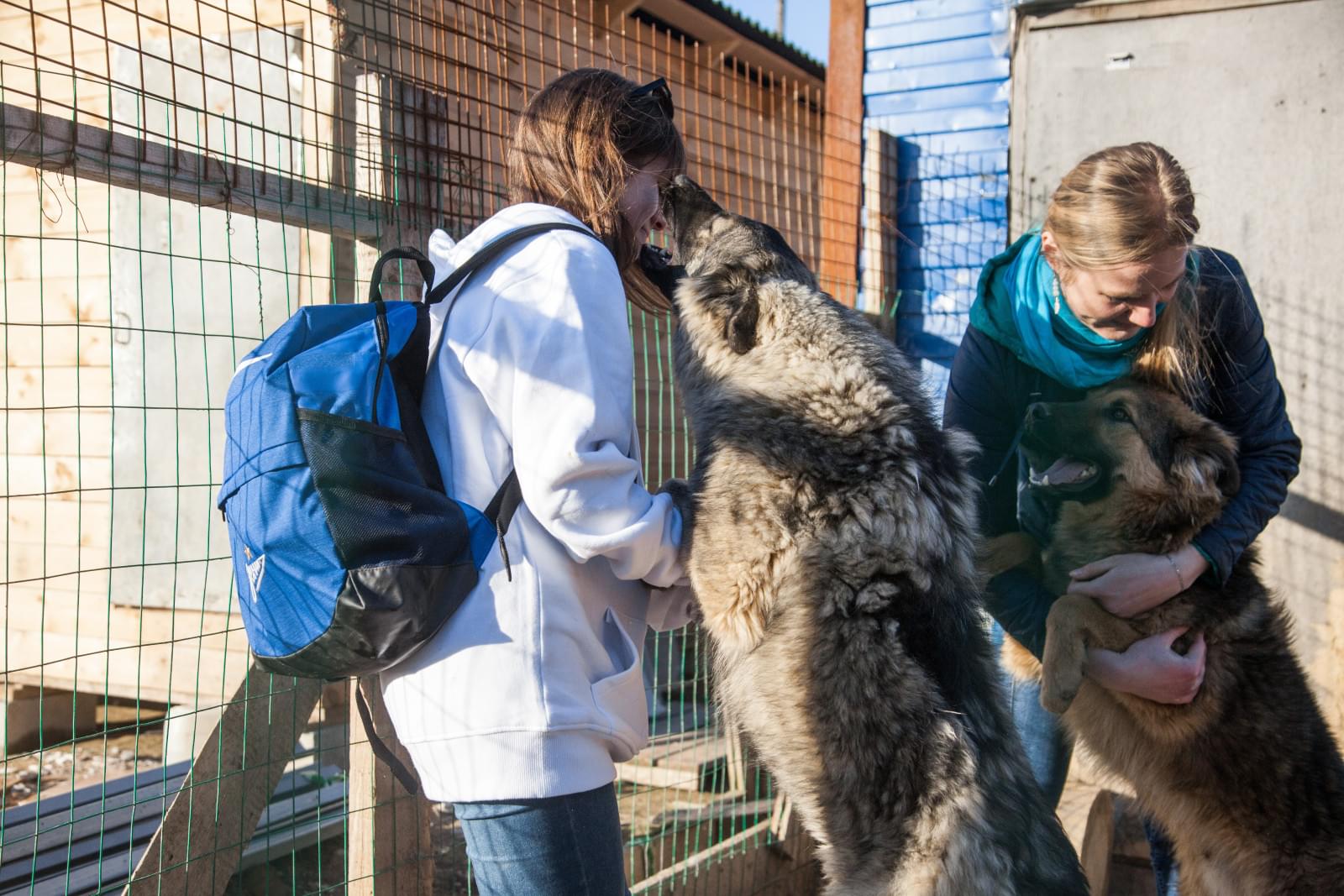 «Марафон добра»: волонтеры в приюте для животных «Друг»