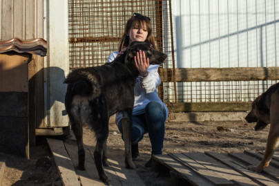 «Марафон добра»: волонтеры в приюте для животных «Друг»