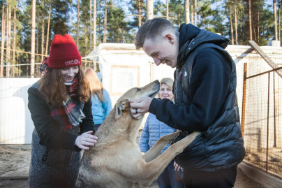 «Марафон добра»: волонтеры в приюте для животных «Друг»