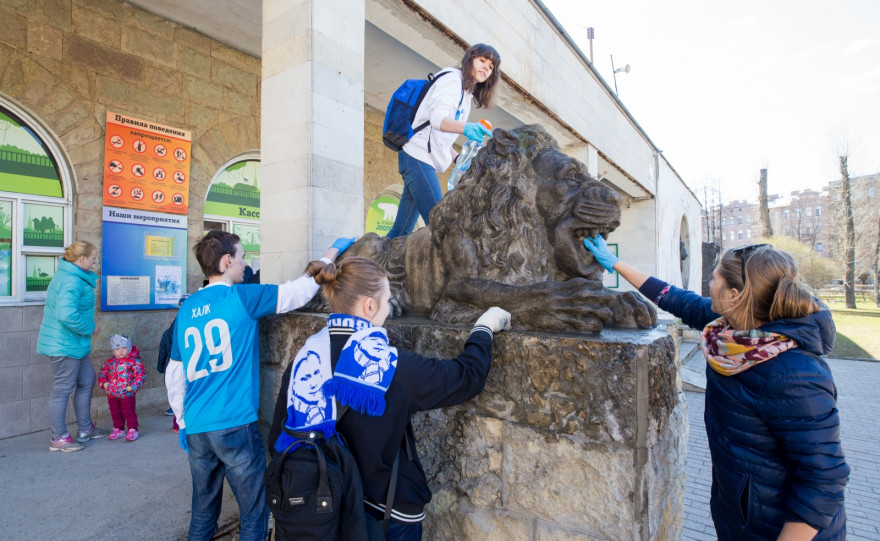 «Марафон добра»: Волонтеры отмыли скульптуры львов, символов  «Зенита»