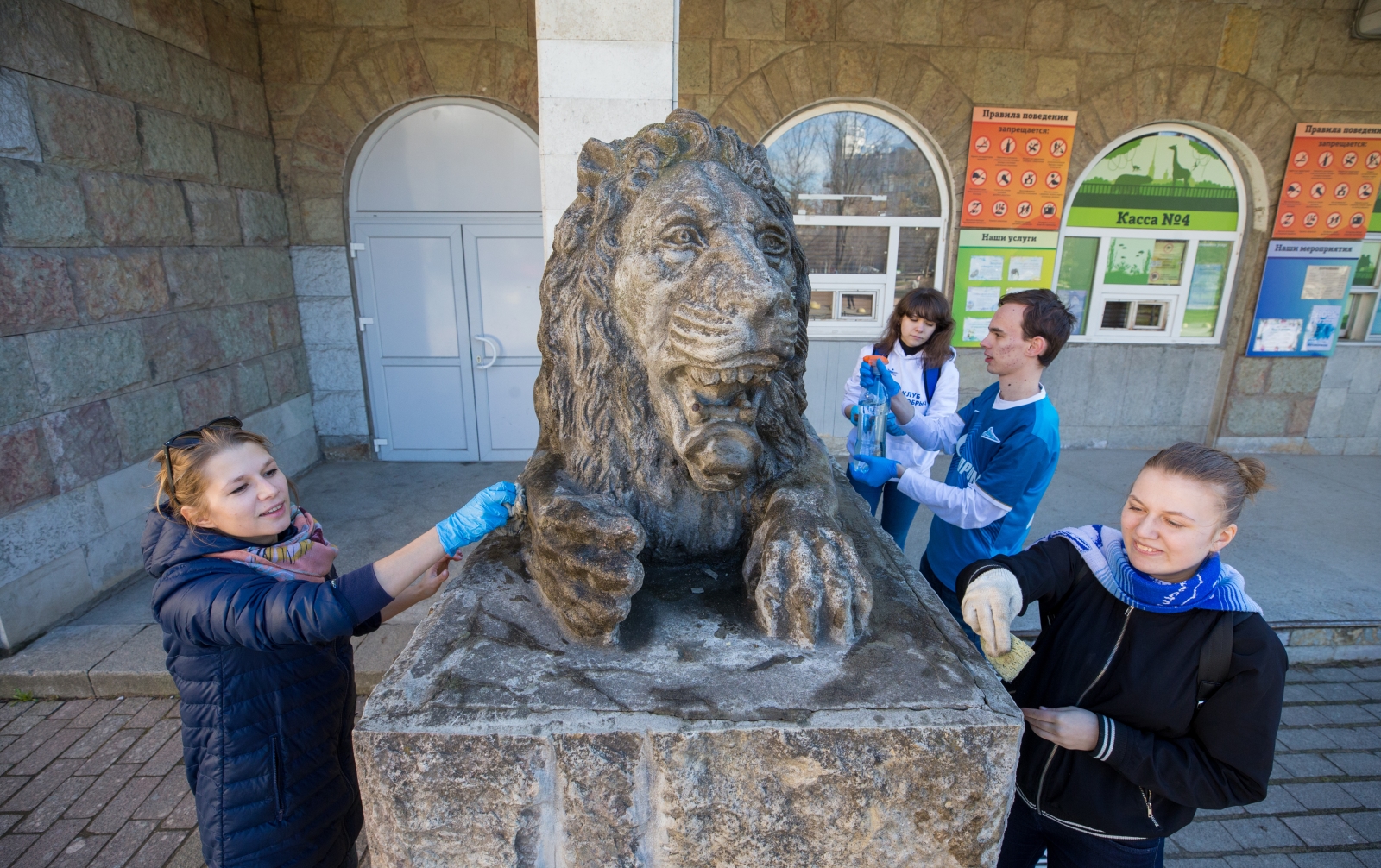 «Марафон добра»: Волонтеры отмыли скульптуры львов, символов  «Зенита»