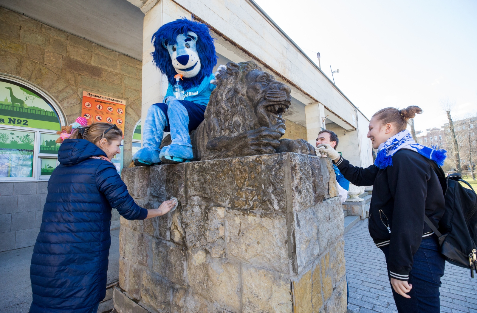 «Марафон добра»: Волонтеры отмыли скульптуры львов, символов  «Зенита»