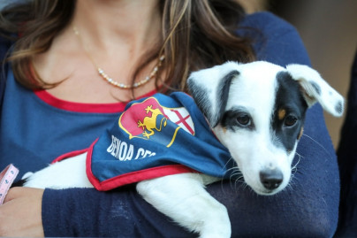 Товарищеский матч «Зенит» — «Дженоа»