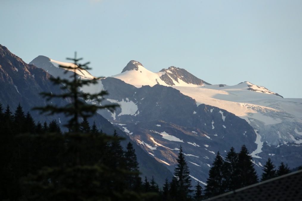 Товарищеский матч «Зенит» — «Дженоа»