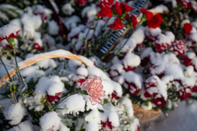 Возложение цветов к Монументу героическим защитникам Ленинграда