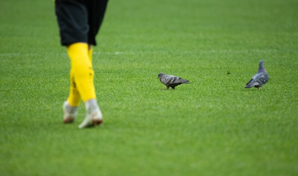 Российская Премьер-Лига 2018/19, «Зенит» — «Анжи»