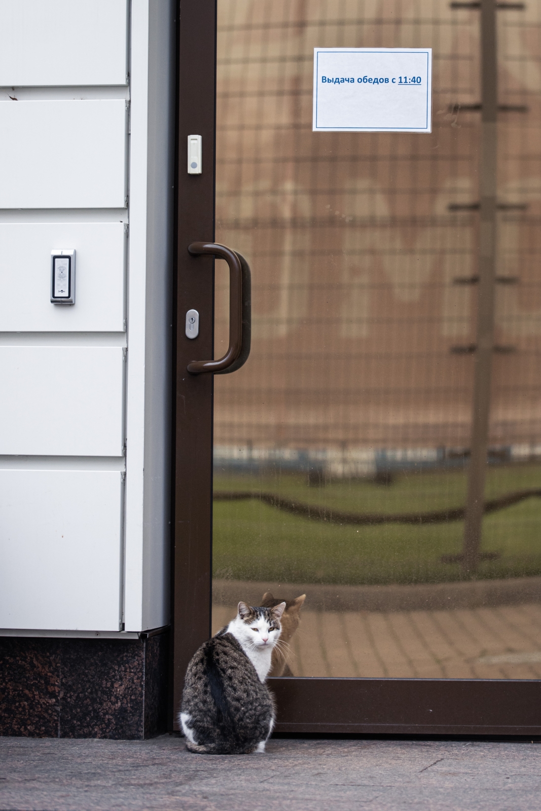 Тренировка «Зенита» перед матчем с «Ахматом»