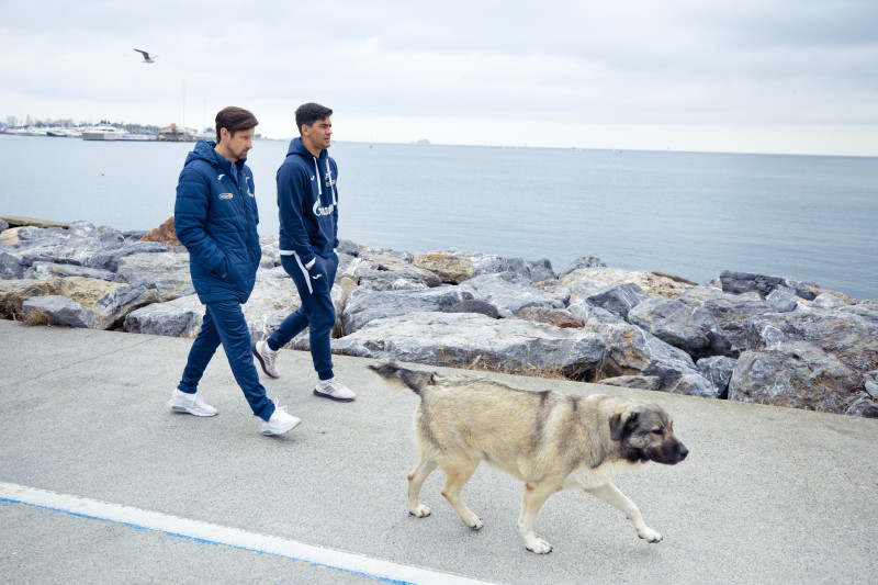 «Зенит» на прогулке перед матчем с «Фенербахче»