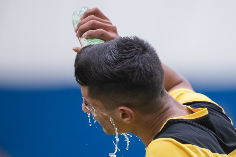 VIII Кубок дружбы: «Сепахан» -2006  — «Зенит» -2006