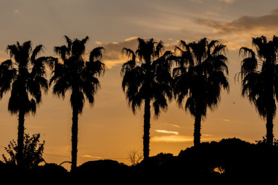 Зимний учебно-тренировочный сбор «Зенита»-2 в Турции: 16 февраля, вечерняя тренировка
