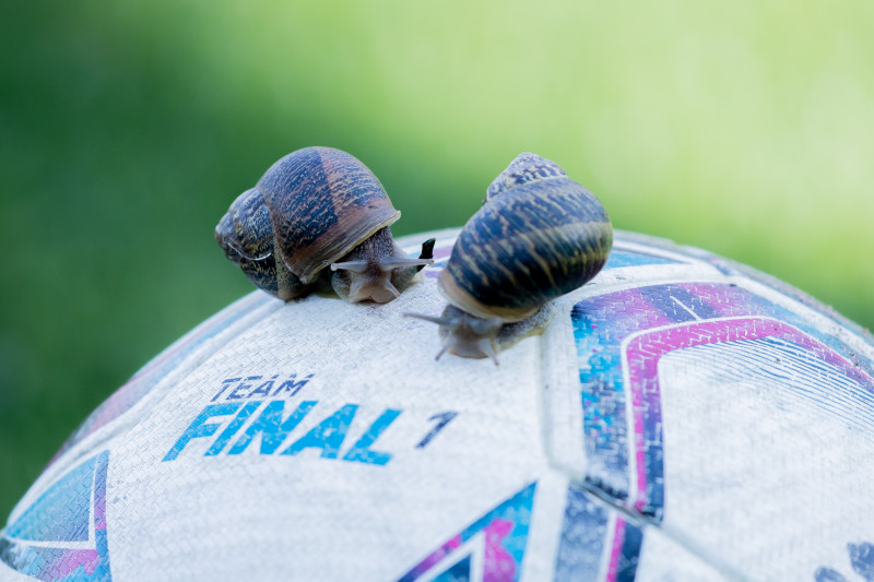 Вторые учебно-тренировочные сборы «Зенита»-м в Турции: 27 февраля, утренняя тренировка