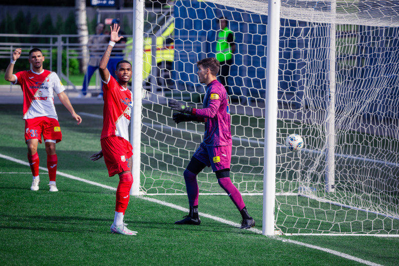 Товарищеский матч, «Зенит»  — «Войводина»