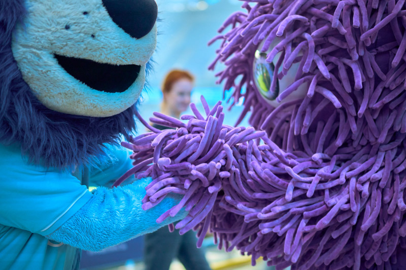 Фан-Променад перед матчем «Зенит» — «Оренбург»