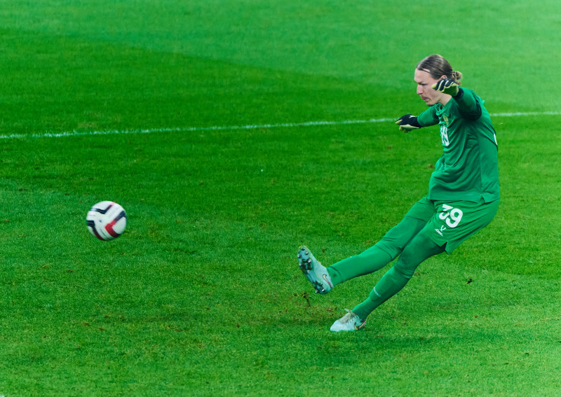 Товарищеский матч сборных Россия — Перу