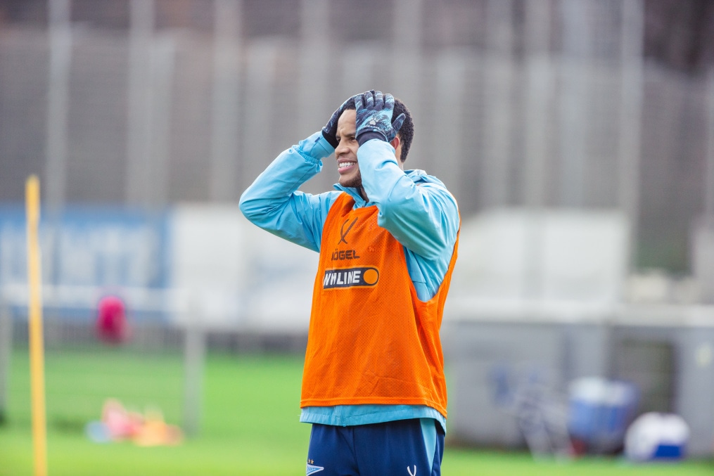 Тренировка основного состава ФК «Зенит» во время перерыва на игры сборной России