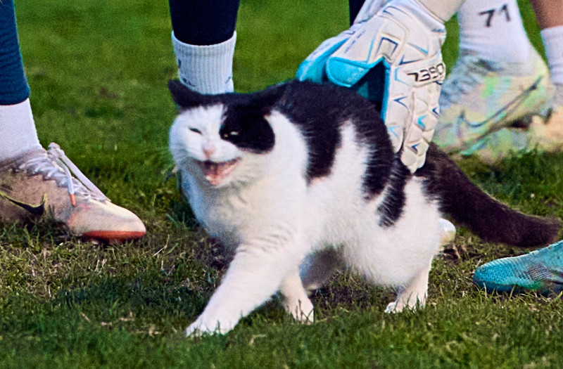 Зимний учебно-тренировочный сбор женской команды «Зенит» в Турции: 10 февраля, вечерняя тренировка