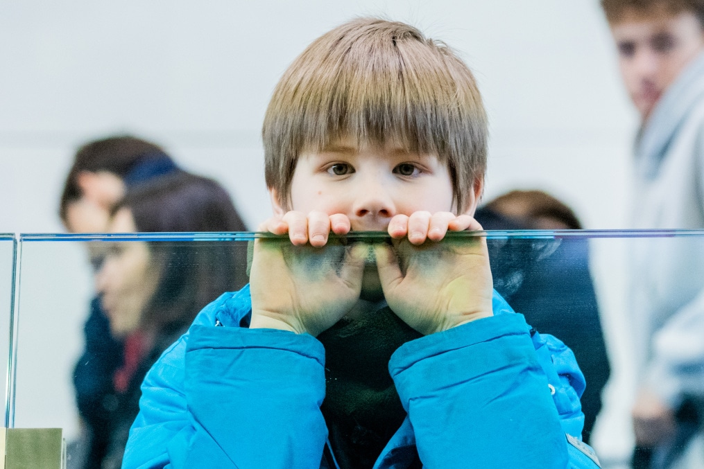Болельщики на матче «Зенит»-2 — «Динамо» (Киров)